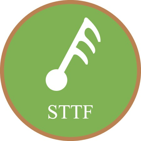 sttf_logotype_cirkel_pos.eps